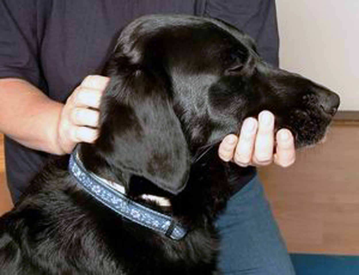dorn with dog